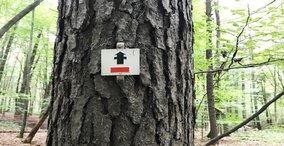Naturpark aktiv 2026 - Die spinnen, die Römer!