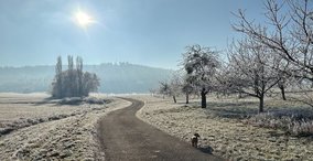 Naturpark aktiv 2026 - Genusswalkingtour im Novemberlicht