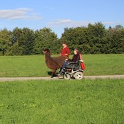 Rollstuhfahrerin mit Lama
