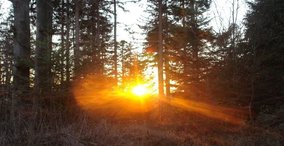 Naturpark aktiv 2026 - Wintersonnwende