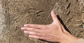 Naturpark aktiv 2026 – Den wilden Nachbarn auf der Spur