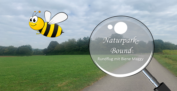 Starkholzbacher See - Rundflug mit Biene Maggy Starkholzbacher See - Rundflug mit Biene Maggy