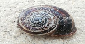 Naturpark aktiv 2026 - Keltisches Jahreskreisfest – Samhain