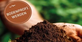 Humusaufbau in der Landwirtschaft - Erde gut machen mit Terra Preta