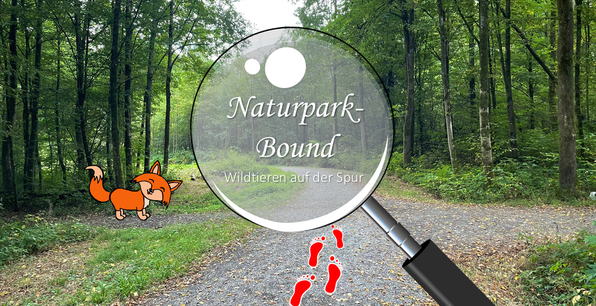 Backnang – Wildtieren auf der Spur Backnang – Wildtieren auf der Spur