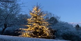 Naturpark aktiv 2026 - Weihnachtszauber im Wald am 1. Advent