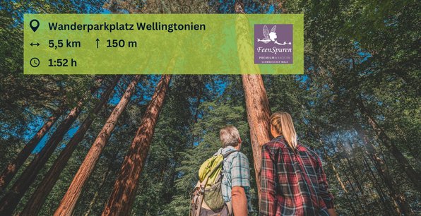 Welzheim - Römerwald